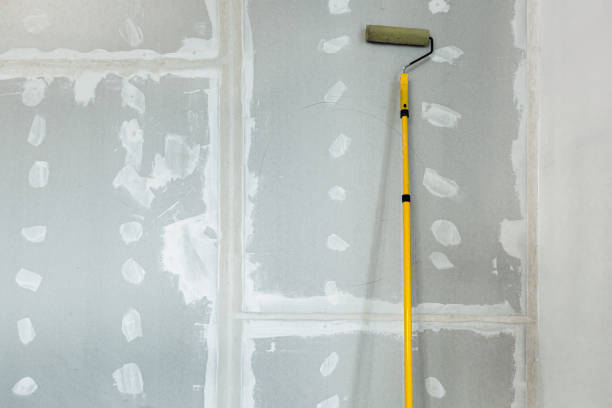 Best Water-Damaged Drywall Repair  in Cecilia, LA