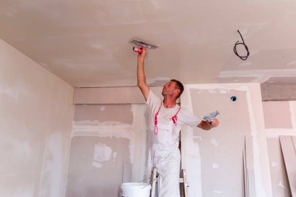 Best Acoustic or Soundproof Drywall Installation  in Cecilia, LA